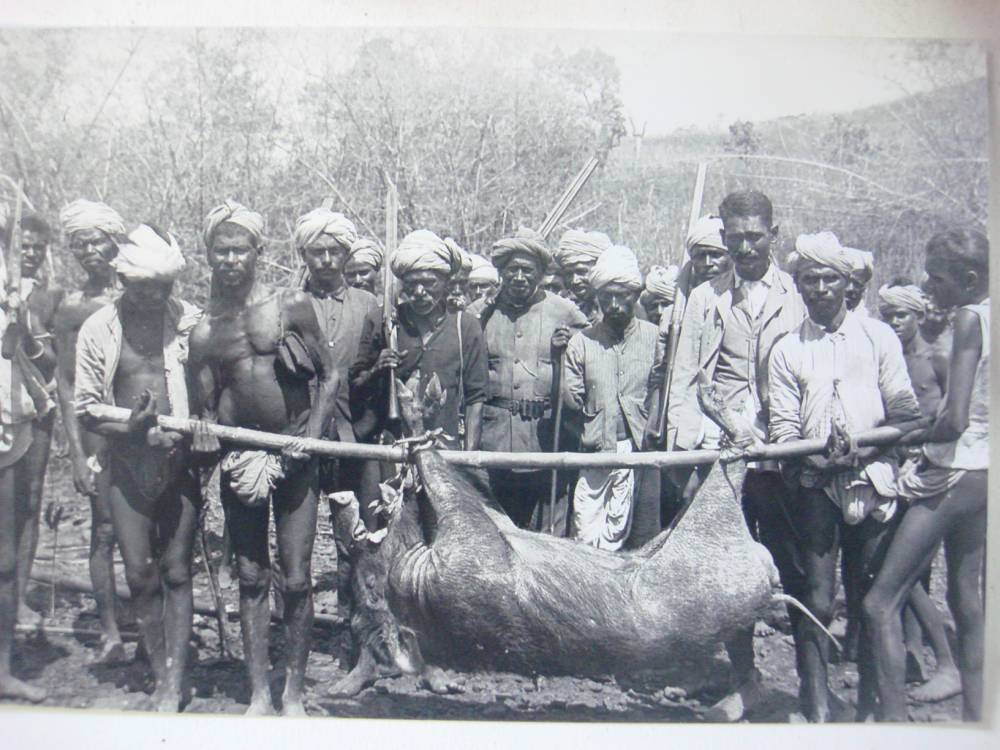 A collection of early 20th century glass plate negatives of India circa 1920s: including family - Image 5 of 5