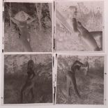 A group of mid 20th century negatives of female nudes and striptease.