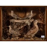 A case taxidermy of group of game birds: comprising a Woodcock, Jack Snipe,