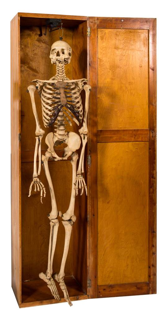 A full medical female skeleton by Adam, Rouilly & Co,