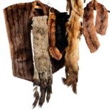 A collection of various fur stoles and collars.