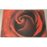 A canvas print of a red rose.