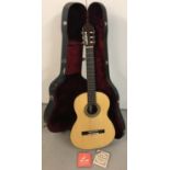 A 6 string acoustic guitar and hard carry case.