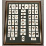 A framed and glazed collection of 50 Player's cigarette cards from the "Wild animal Heads" series.