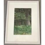 A vintage framed & glazed watercolour of woodland by Colin Bygrave. In a white wooden frame.