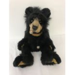 A large Charlie Bear "Norman" by Isabelle Lee, product number CB194201.