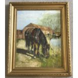 A gilt framed oil on board of a canal horse grazing by the side of a canal, unsigned.