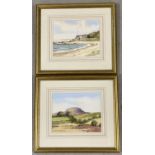 2 framed and glazed small watercolours by Irish artist S. Mclarnon.