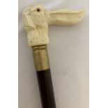 A bone topped walking cane with screw in finial in the form of a hare, with his ears as the handle.