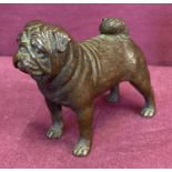 A small bronze figure in the form of a pug dog.