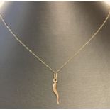 A 9ct gold horn of plenty pendant on a 22" fine belcher chain.