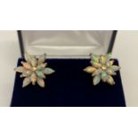A boxed pair of 14ct rose gold flower design earrings set with marquise cut fire opals.