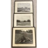 3 framed and glazed vintage black and white photographs of African wild animals.