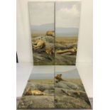 A set of four lion wall hanging canvas prints.