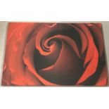 A canvas print of a red rose.