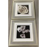 2 modern framed and glazed black & white photographic prints of a white rose and calla lilies.
