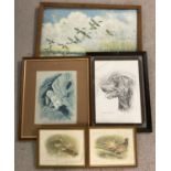 5 framed and glazed animal and wildlife prints to include Peter Scott.