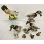 A small collection of ceramic ducks, mostly Mallards, together with Wade Whimsie animals.