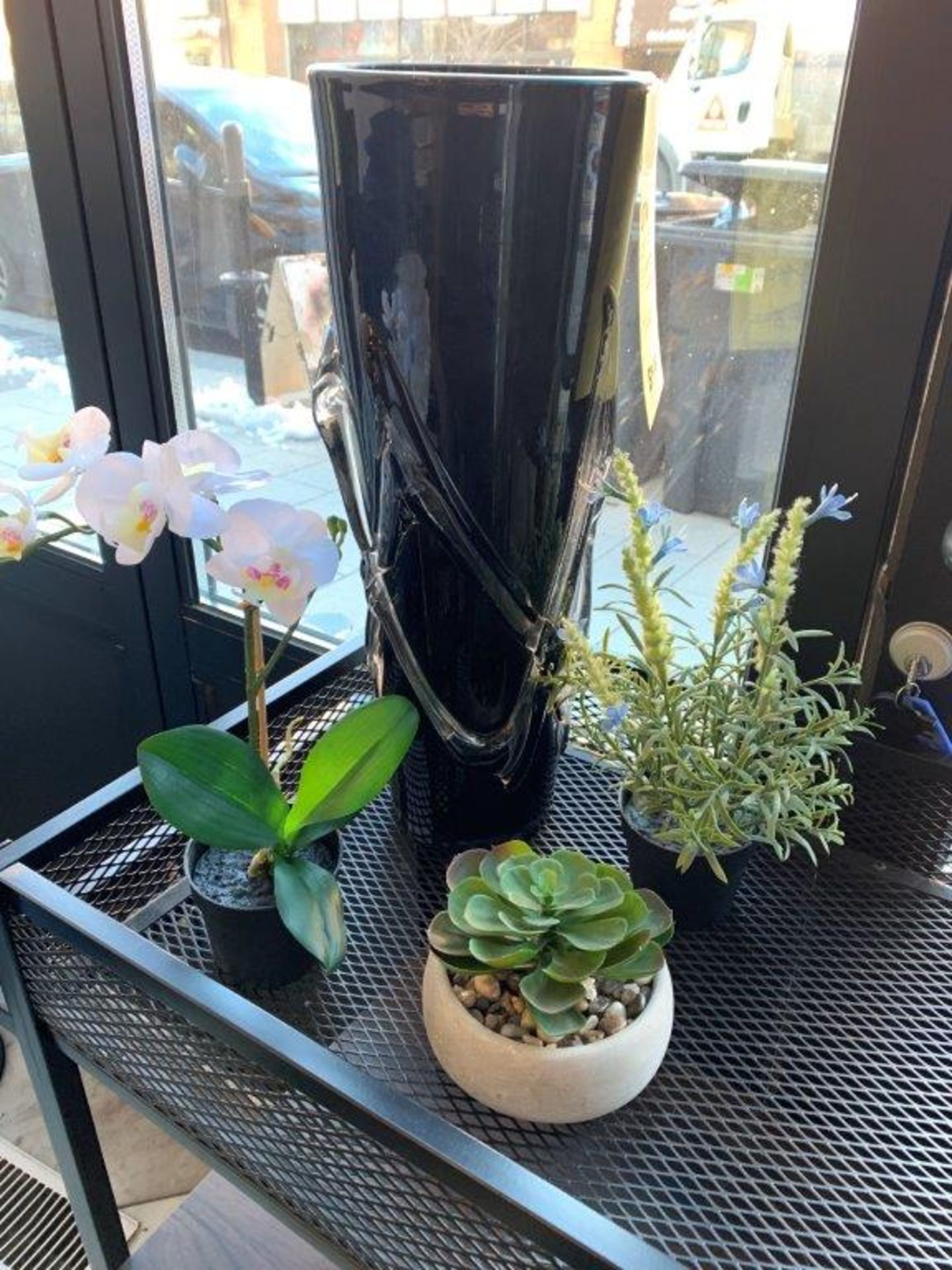 Lot de 3 plantes déco & Vase (F)