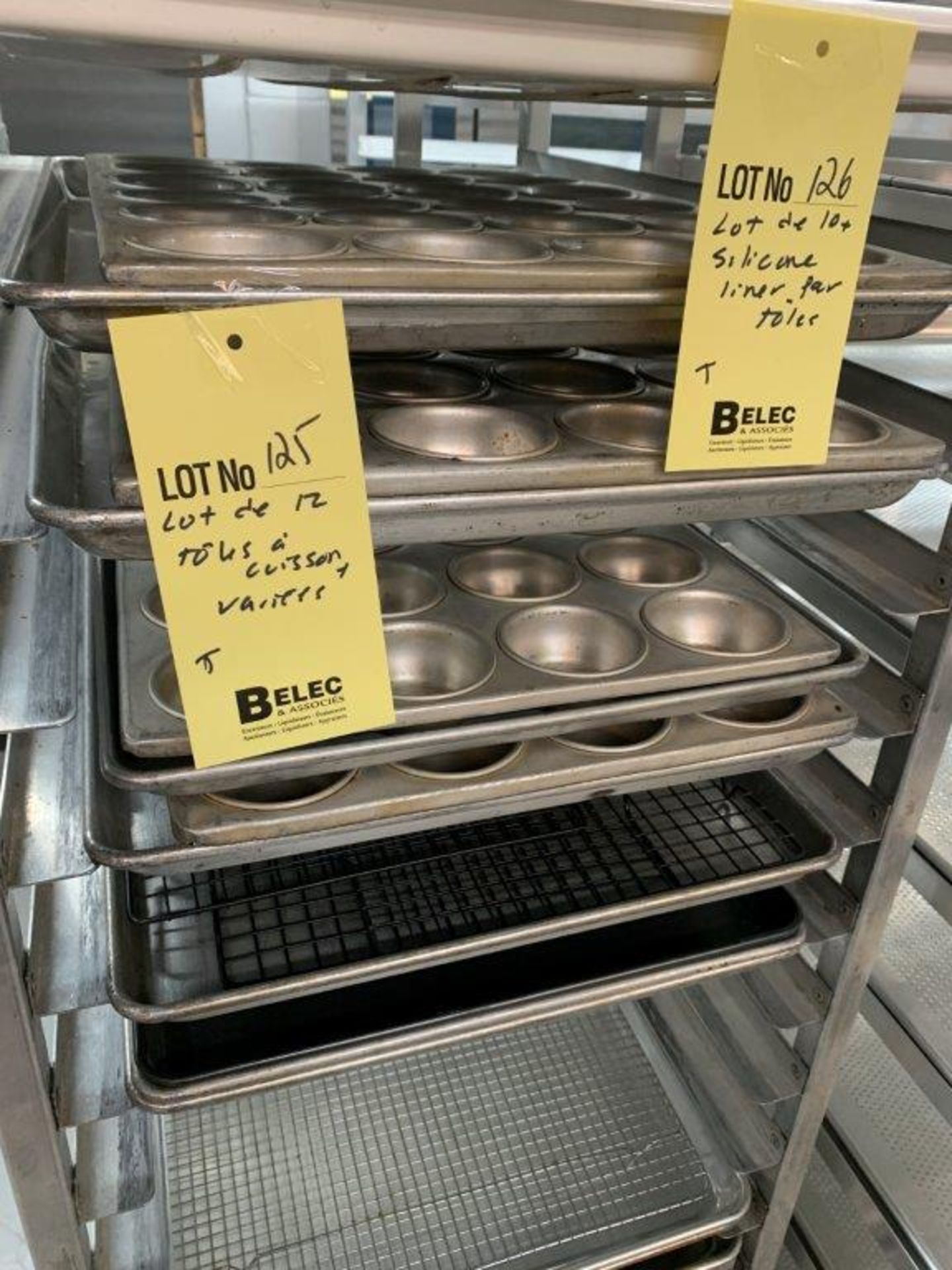 Lot de 12 toles cuisson variées