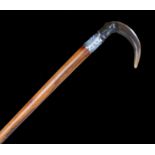 19th Century horn handled walking stick, possibly Rhinoceros horn, the arched horn handle above a