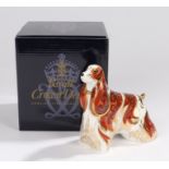 Royal Crown Derby paperweight, 'American Spaniel', boxed, marked and signed to the base