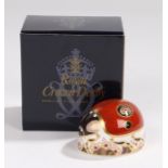 Royal Crown Derby paperweight, 'Ladybird', boxed and marked to the base