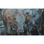 Jane German (20th Century), Charolais calves, pastel on coloured paper, initialled lower left,