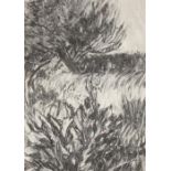 Andrea Newman (B1957), landscape scene, charcoal on paper, unframed, the charcoal 42cm x