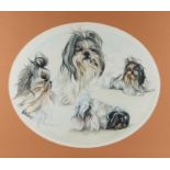 Michelle Pearson Cooper (20th Century), four studies of a dog, signed watercolour, housed in an oval