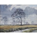 Cavendish Morton (1911-2015), Trees Braisworth near Eye, signed and dated 1971 watercolour, 20cm x