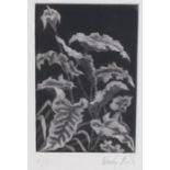 Wendy Bird, leaf study, signed etching, unframed, the etching 19cm x 26.5cmScuffs and marks to