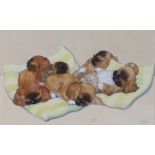 Chloe Preston (1887-1969), six sleeping puppies on yellow striped cushions, signed watercolour,