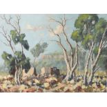 E.B. King (20th Century South African), the bush, signed oil on board, unframed, 50.5cm x 38cmSome