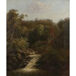 19th Century British school, Woodland glade, unsigned oil on canvas, 43cm x 50cm