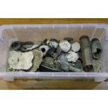 Collection of metal detector finds, to include coins, shell cases etc. (qty)