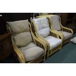 Pair of cane conservatory chairs, similar chair (3)