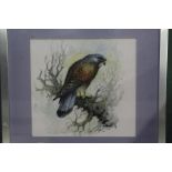 Reg Snook, watercolour study of a kestrel on a branch, signed lower right and dated '93, in a silver
