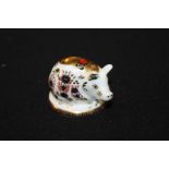 Royal Crown Derby paperweight depicting a pig, decorated in the Imari style, 4.5cm high