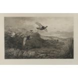 After Archibald Thorburn, The Twelfth, print