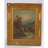 W Cullens (late 19th Century) rocky stream, waterfall & foot bridge oil on canvas signed 32cm x 44cm