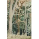 19th Century British school, Woodland scene watercolour 30cm x 19cm