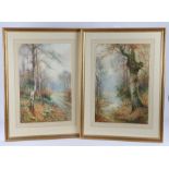 Thomas Tayler Ireland (act.1880-1927) Pair of tree and river scenes, signed watercolour, 34cm x