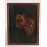 Early 20th School, Head of a bull mastiff oil on canvas 24.5cm x 34.5cm framed