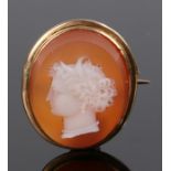 19th Century cameo brooch, with a carved profile on a gold frame, 30mm high