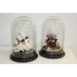 Two hand crafted mice under glazed domes, (2)