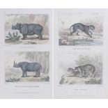 Pair of framed bookplates depicting the rhinoceros, the two horned rhinoceros, the black tiger and