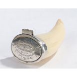 Victorian scrimshaw tooth snuff mull, the tooth capped with a white metal lid engraved Glasgow