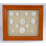 Plaster seals, arranged in a glazed maple frame, 33cm diameter