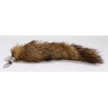 Taxidermy, a foxes tail with a collar engraved W.F.H. Backford Cross 21.1.39